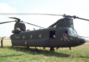 Chinook