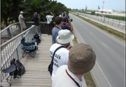 Spotters en Barcelona